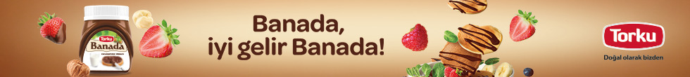 Google Anasayfa