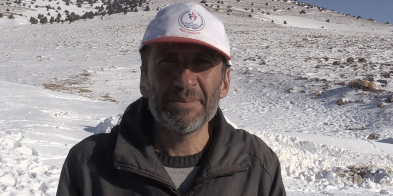 Karaman'da tipi faciası: 415 koyun telef oldu, çoban o günü anlattı