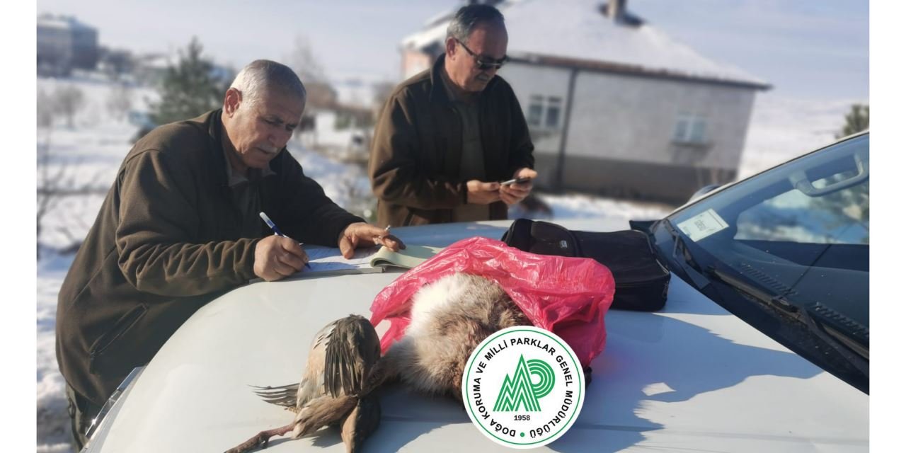 Suçüstü yasa dışı av operasyonu
