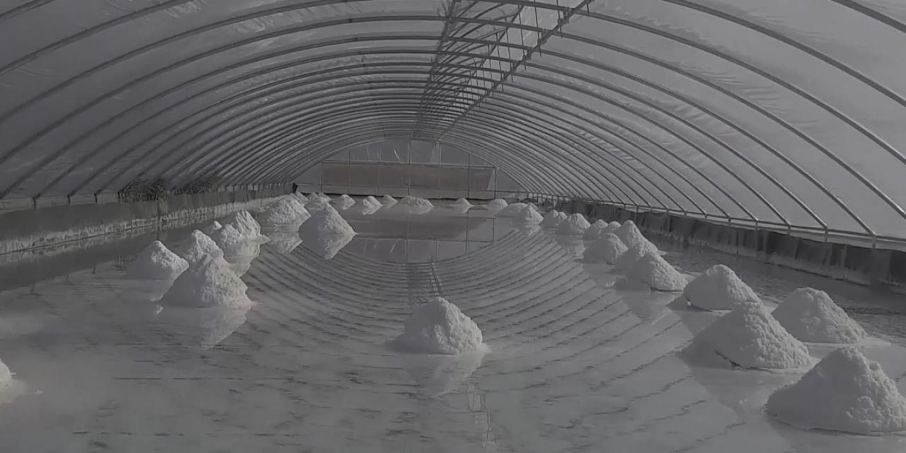 Bin 300 metreden gelen kaynak suyu: 84 mineralli tuz, AB onayını bekliyor