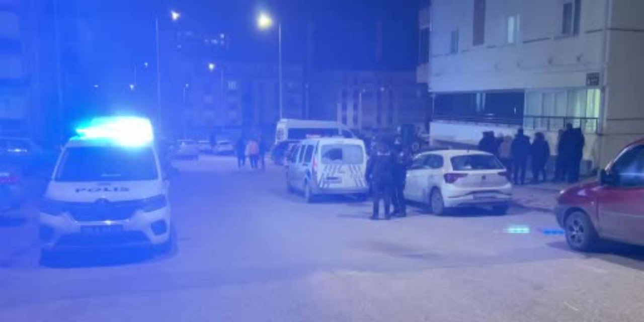 Anne ve oğulun ölümü: Katil diğer oğlu çıktı