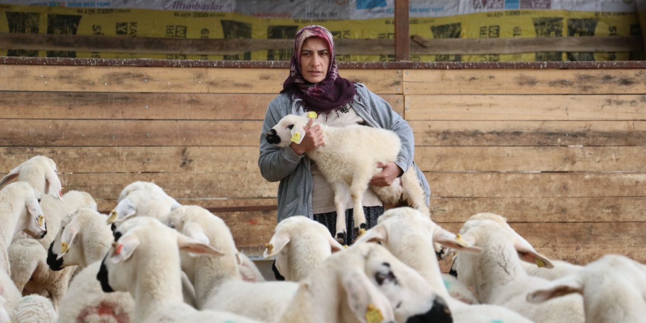 Devlet desteğiyle başladı, hayvan sayısını 400'e çıkardı