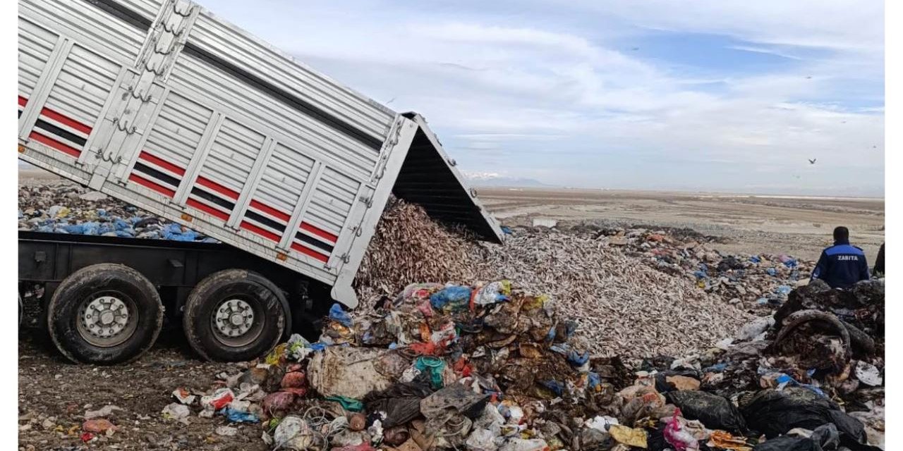 Konya’da kokmuş balık tırı yakalandı
