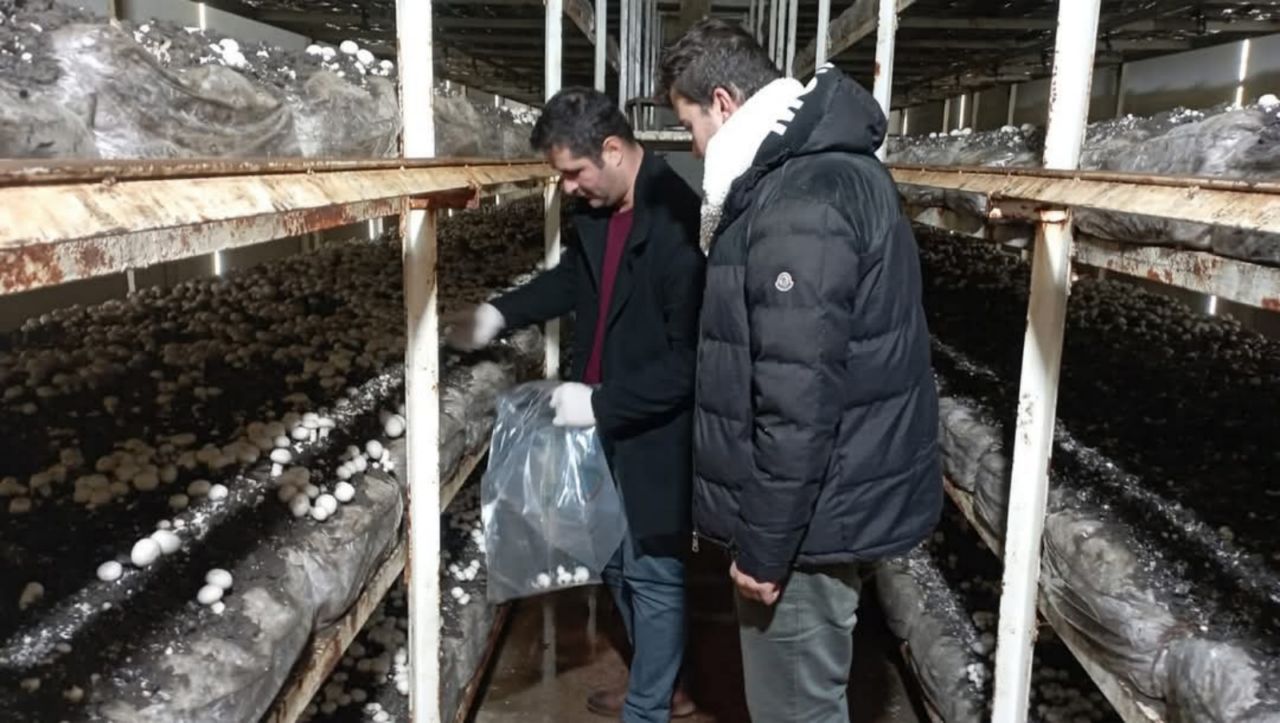İlçe Tarım pestisit denetimlerini sürdürüyor