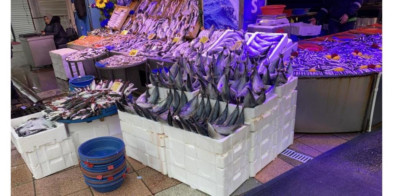 Çinekopa düşen fiyatla ilgi patladı