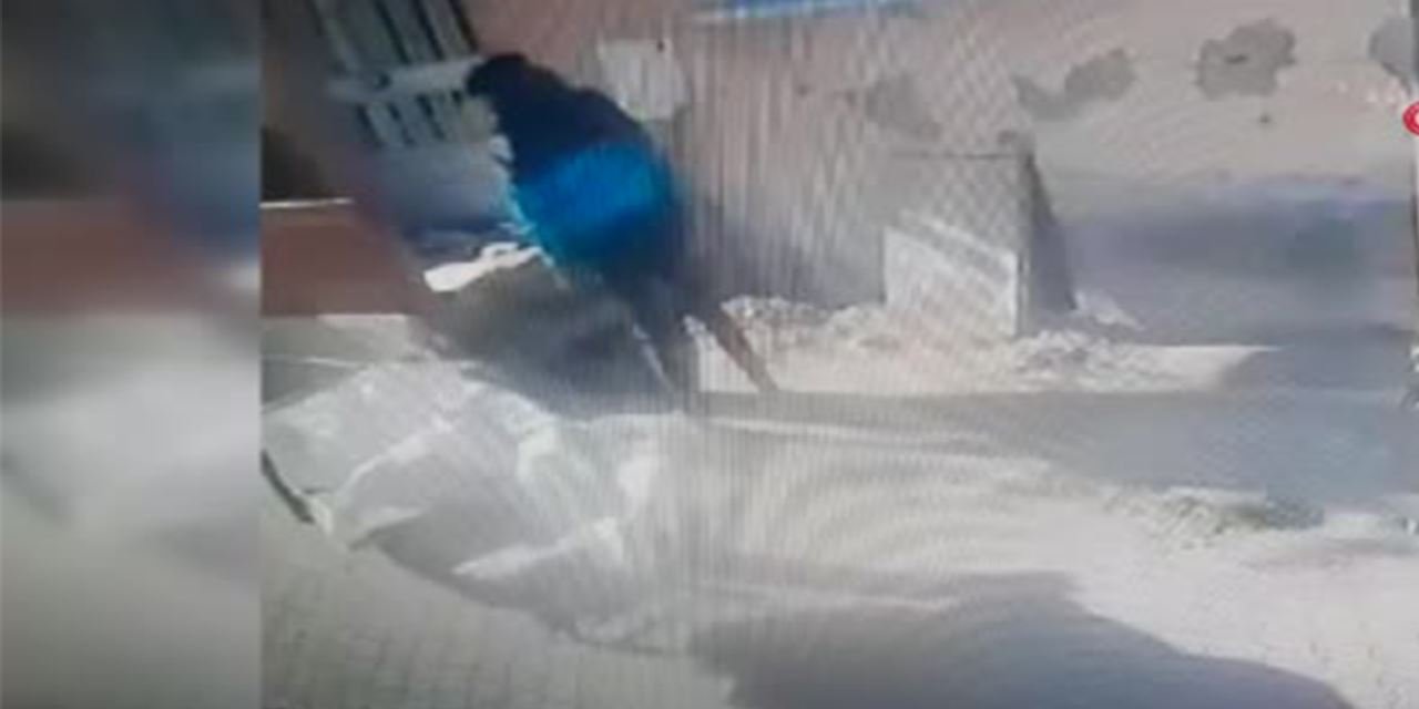 Bodrum'da hırsızlık anı kamerada