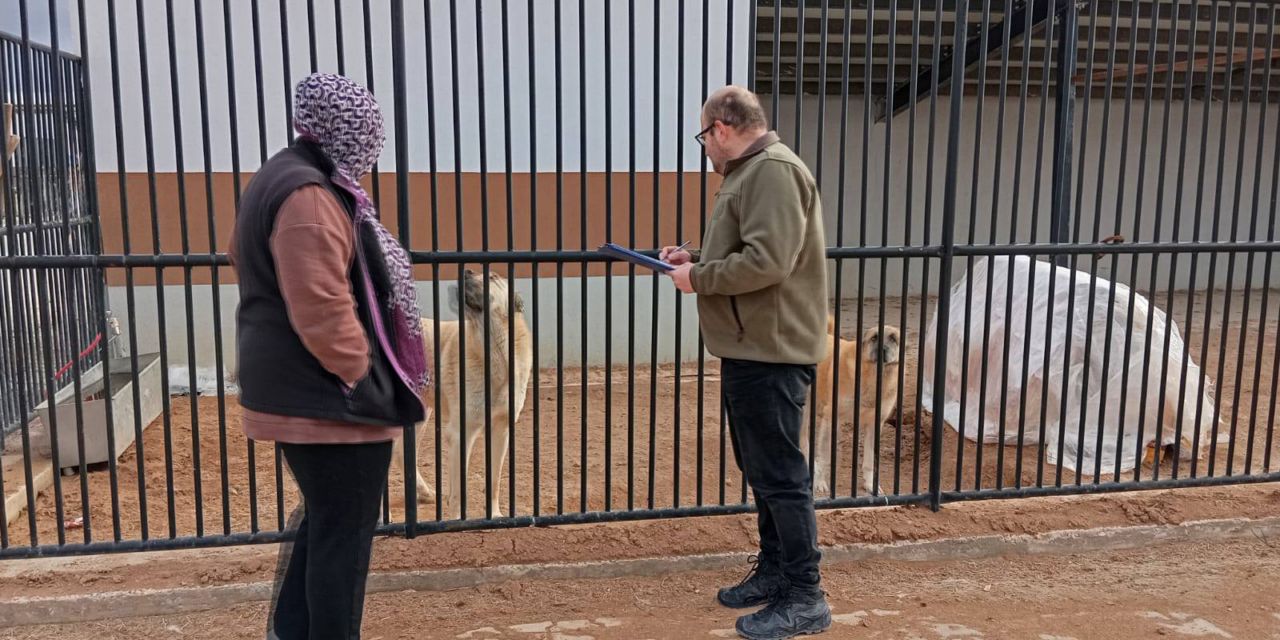 Köpek barınağına denetim