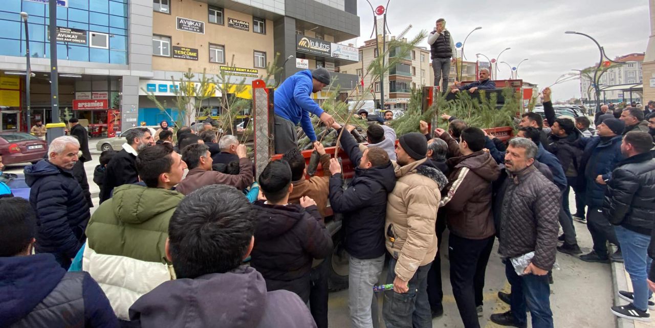 Kulu’da ücretsiz çam fidanlarına büyük ilgi