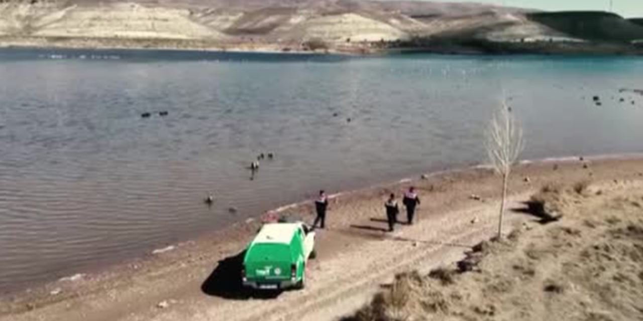 Flamingolar gökyüzünden görüntülendi
