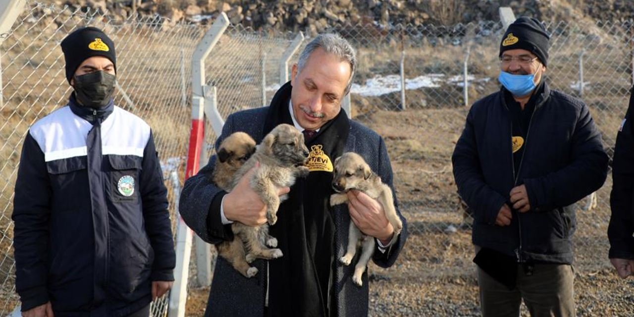 Talas’ta Türkiye’ye örnek ‘Pati Evi’ açıldı
