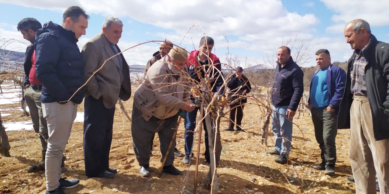 Büyükşehir'den budama uyarısı