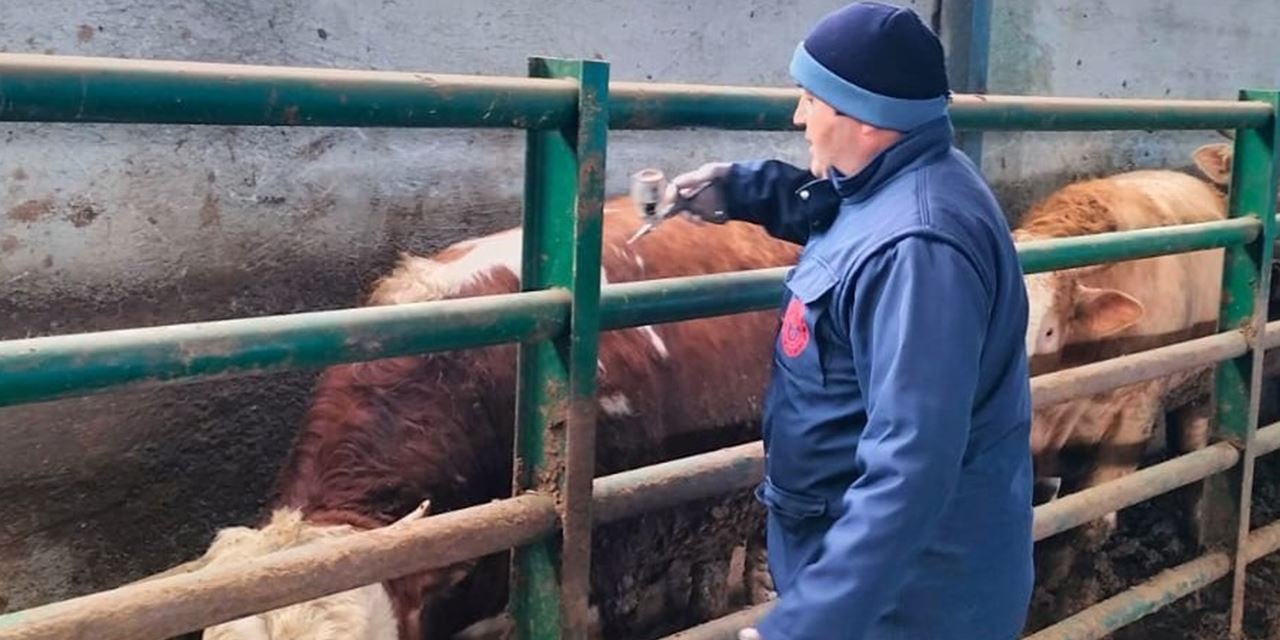 Beyşehir’de hayvanlar için sağlık alarmı!