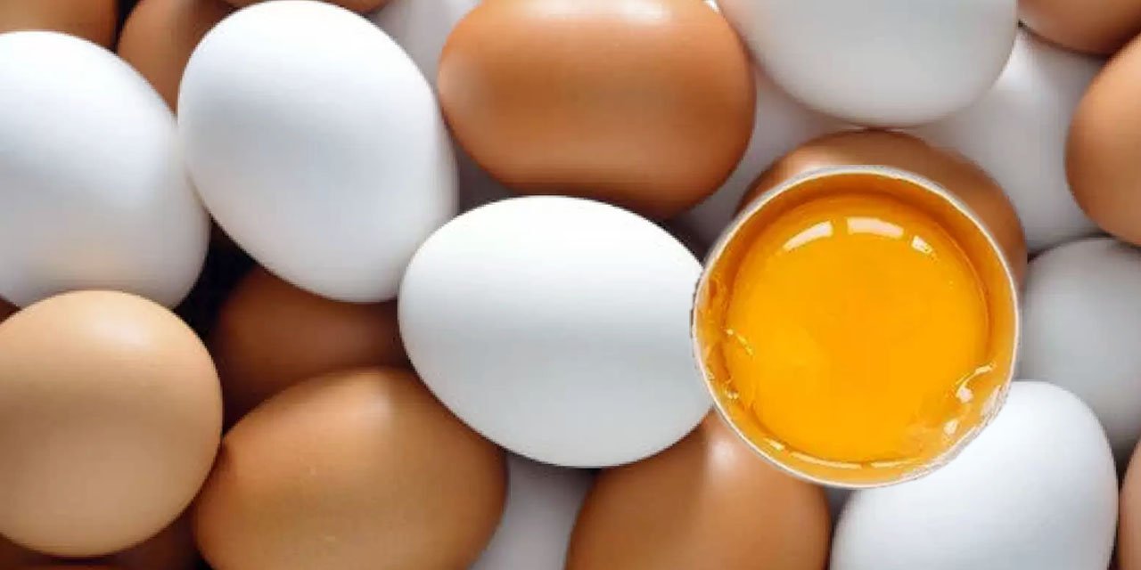Yumurta krizine ‘fon’ önlemi! Kesinti artırıldı