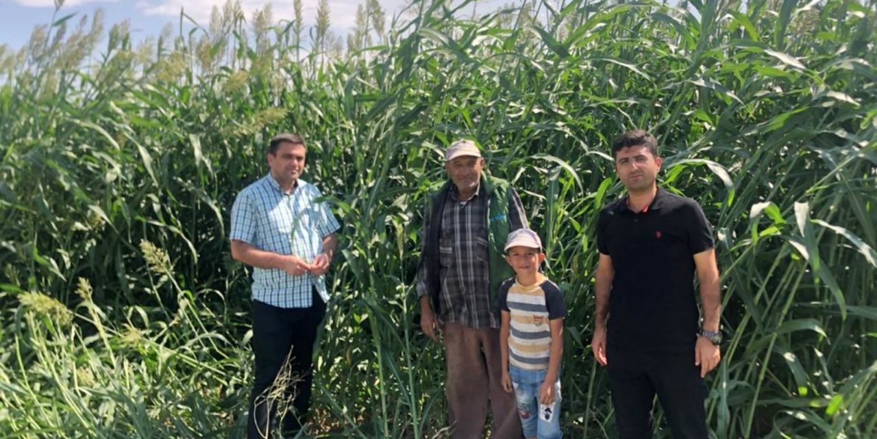 Kuraklık nedeniyle çiftçi alternatif ürünlere teşvik ediliyor