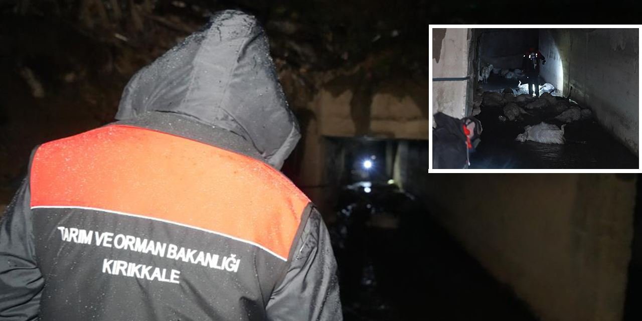 Kırıkkale'de 'Koku' faciası: 23 hayvan öldü, 77'si kurtarıldı