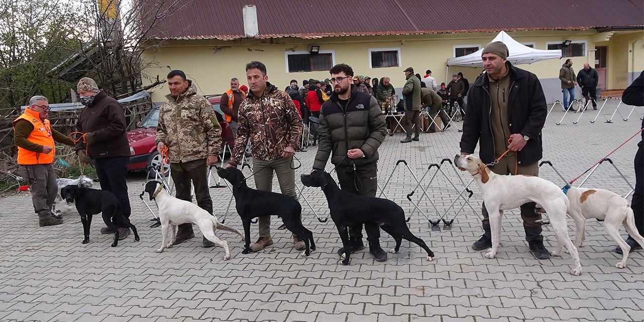Köpekler, en sevimli özellikleriyle sahneye çıktı