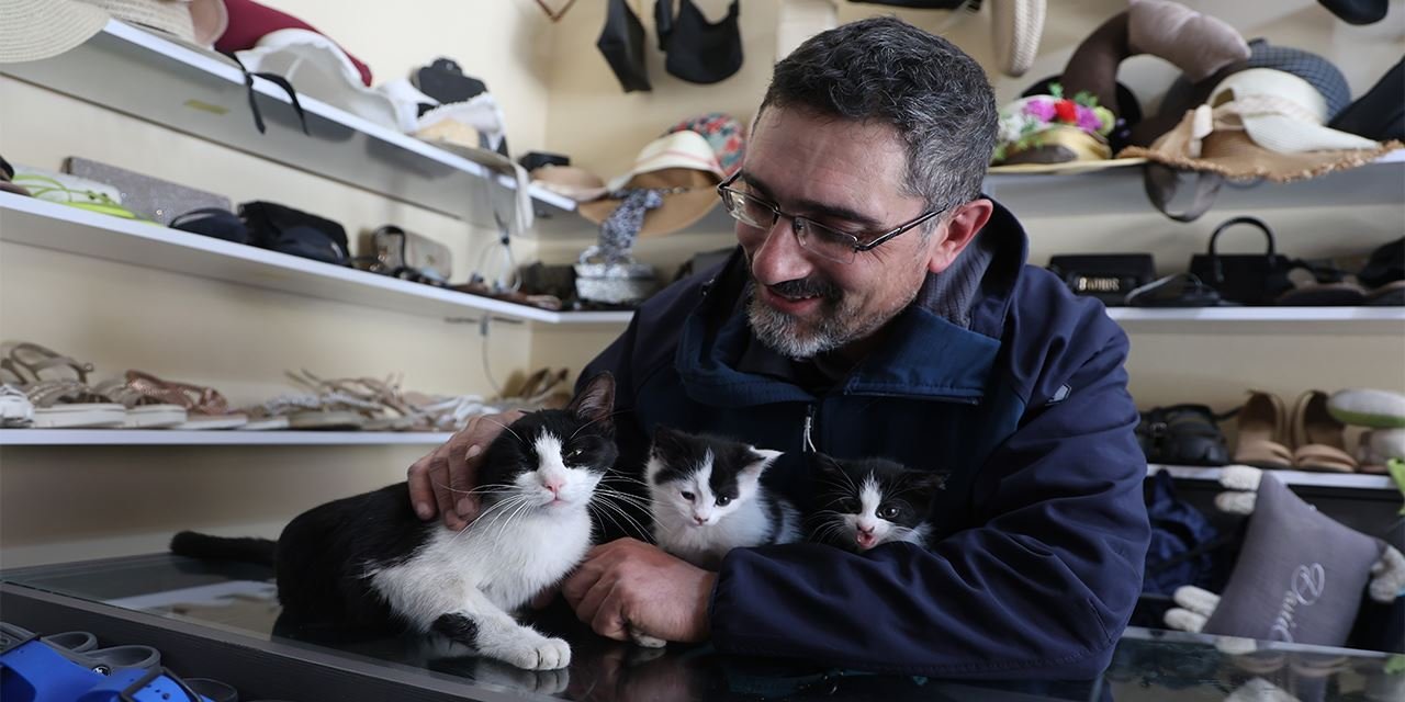 Önce inceledi, sonra taşıdı: Anne kedi dükkanı yuva seçti