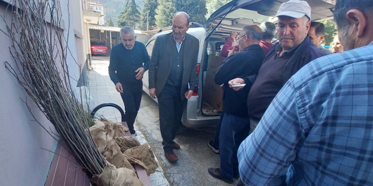 Arıcılara yalancı akasya dağıtıldı