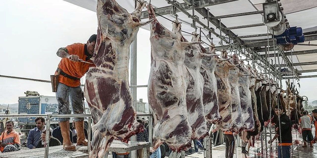 Kurban kesim ücreti kurbanlık fiyatlarıyla yarışıyor!