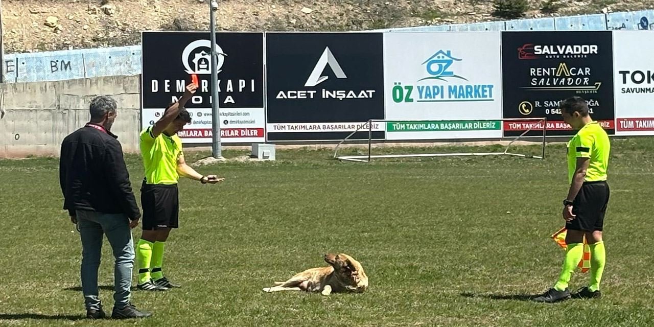 Amatör maçta hakem sahaya giren köpeği kırmızı kart göstererek dışarı çıkardı