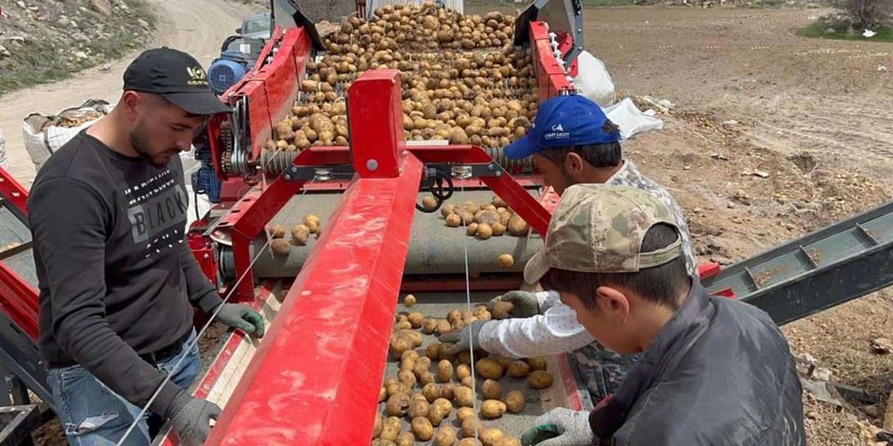 Patatesin toprakla buluşma zamanı geldi