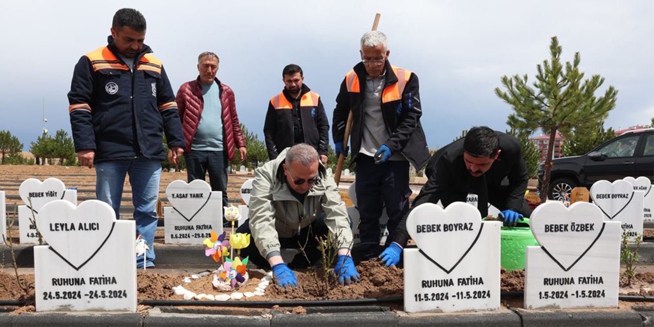 Kalpli mezarlara sevgiyle dokunuş, minik melekler için güller açtı