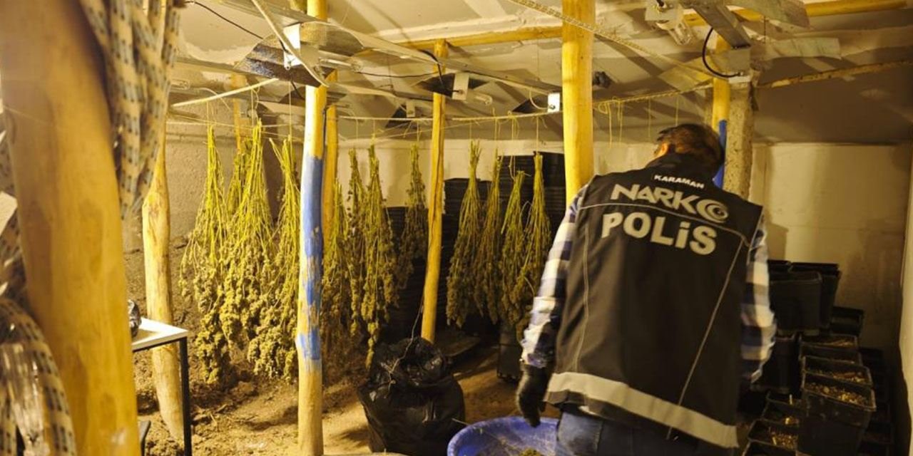 Uyuşturucu serasına polis baskını: Yetiştirici tutuklandı