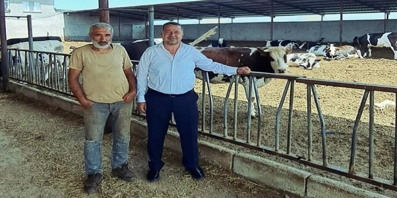 Hayvan gübresi tarım arazilerine can verecek