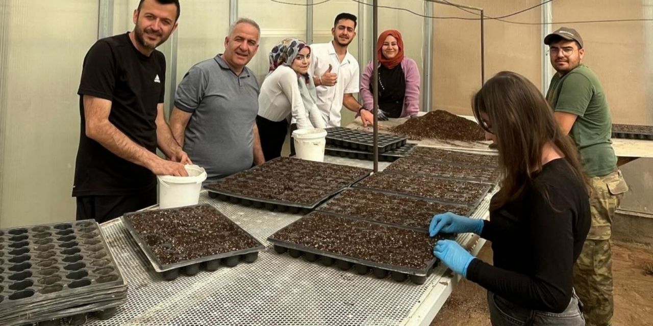 Sarayönü MYO’da uygulamalı sebze fidesi ekimi yapıldı
