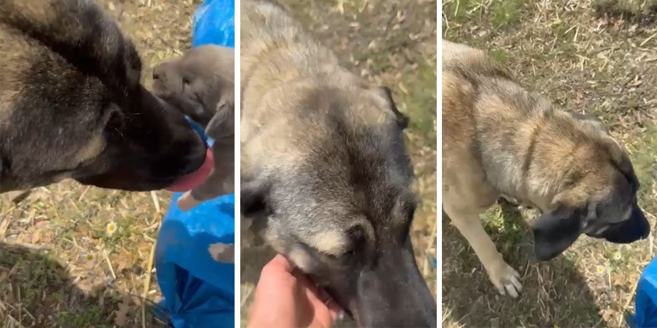 Yozgat’ta tepki çeken görüntünün nedeni ortaya çıktı