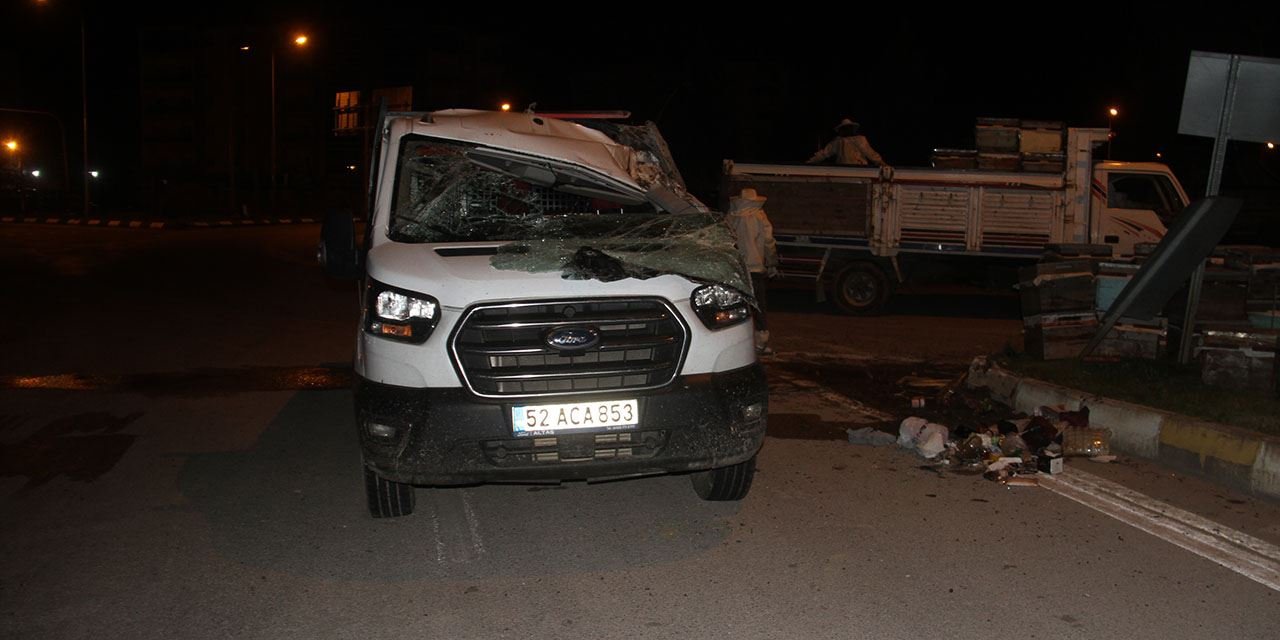 Kamyonet devrildi, arılar saldırdı