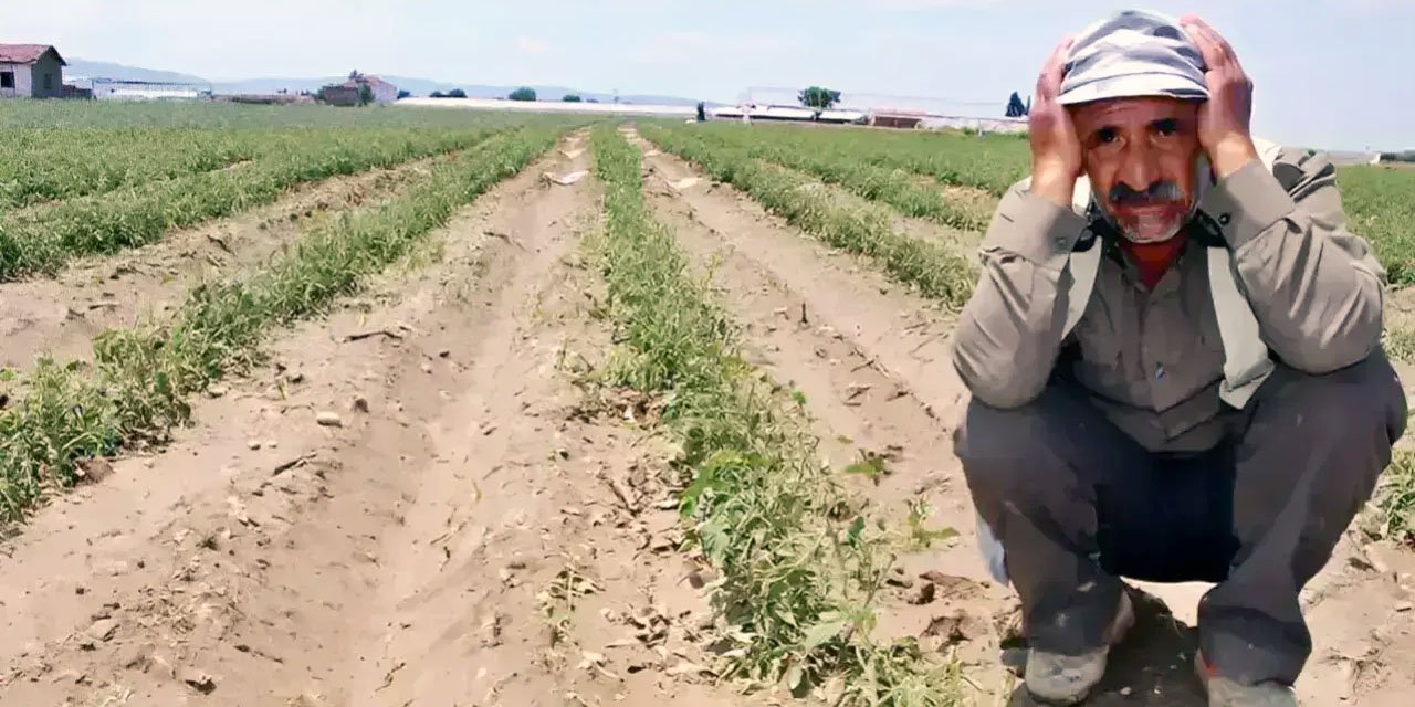 14 Mayıs Çiftçiler Günü’nde ürküten gerçek: Tarım alarm veriyor