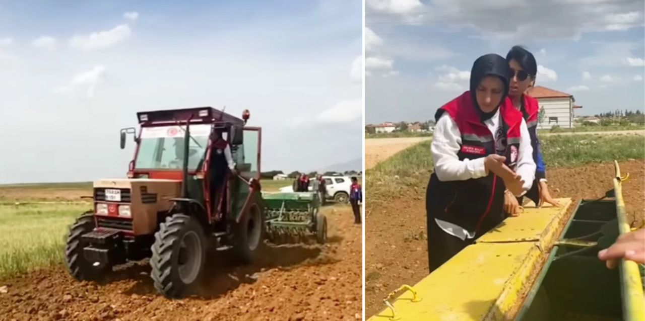 Konya'da geliştirilen buğdaylar Karaman'da boy verecek