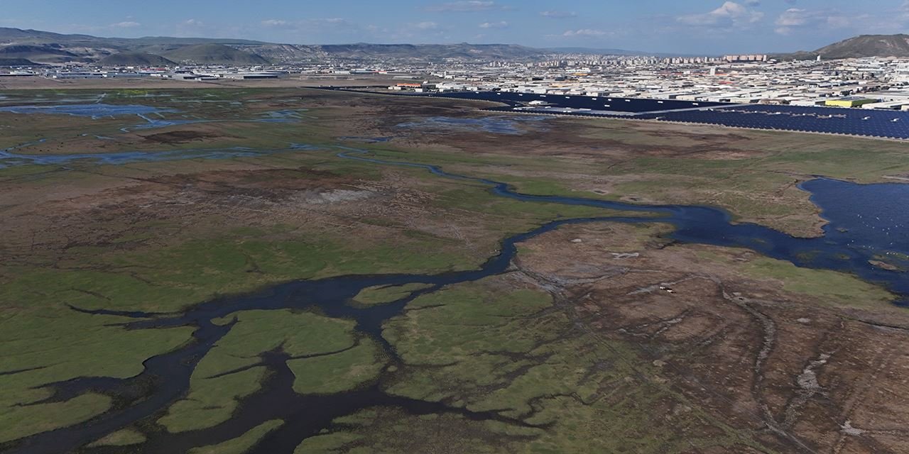 Kayseri'nin doğal cenneti: Hürmetçi Sazlığı