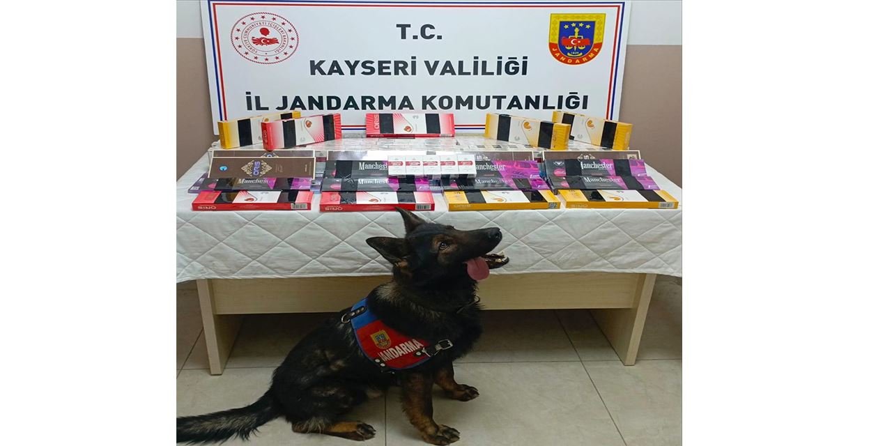 Jandarmadan kaçak sigara operasyonu: 700 paket ele geçirildi