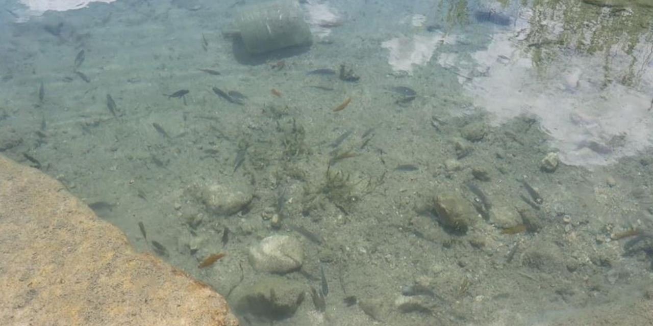 Günyüzü’ndeki tarihi hamam ve doğal akvaryum turizme kazandırılmayı bekliyor