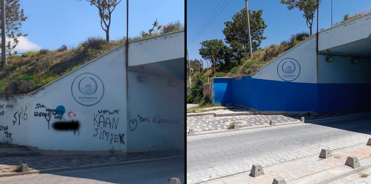 Alt geçitlere yazılan yazılara tepki