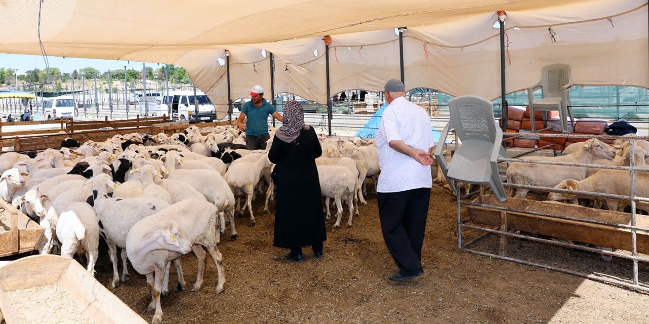 Konya’da kurban satış ve kesim yerleri açıklandı