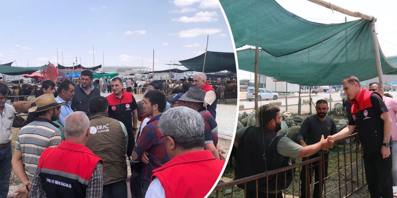 Tarım İl Müdürü Seçen'den Hayvan Pazarında denetim