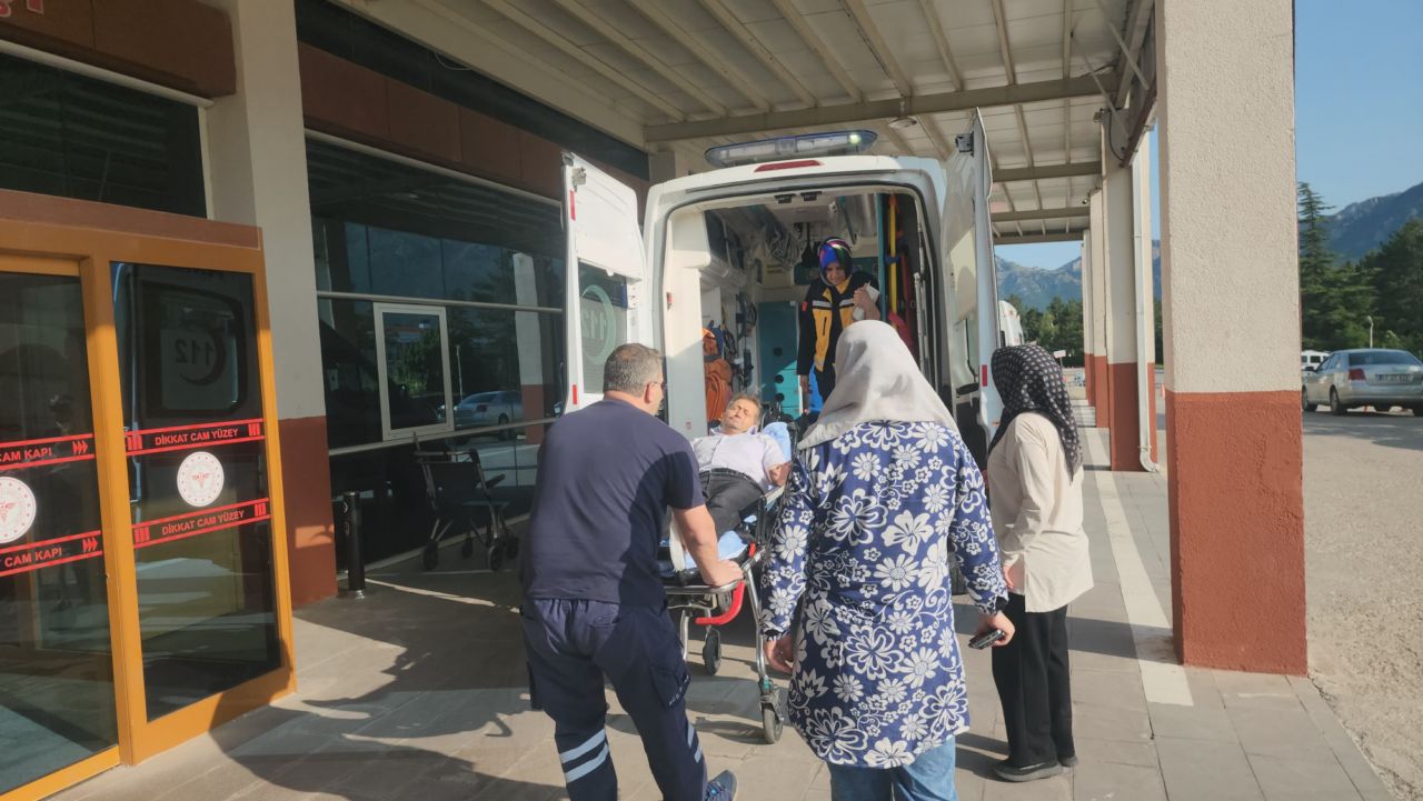 Yılan ısırdı; piknik keyfi kabusa döndü