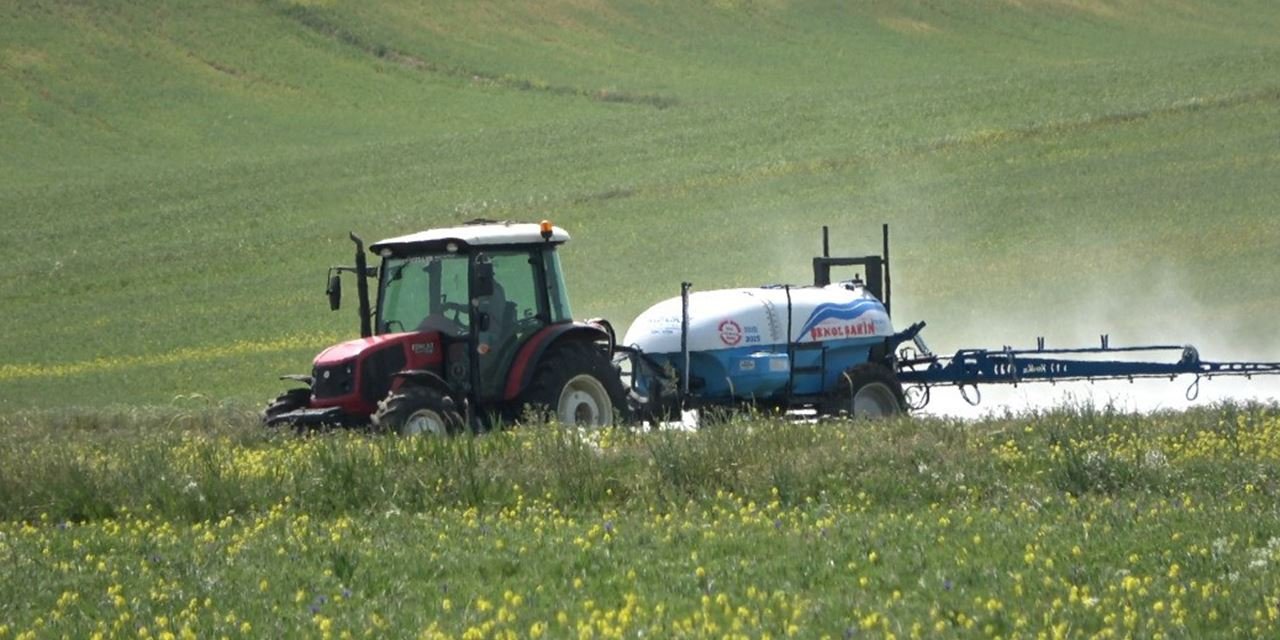 Sorgun’da don ve hardal bitkisi çiftçiyi vurdu