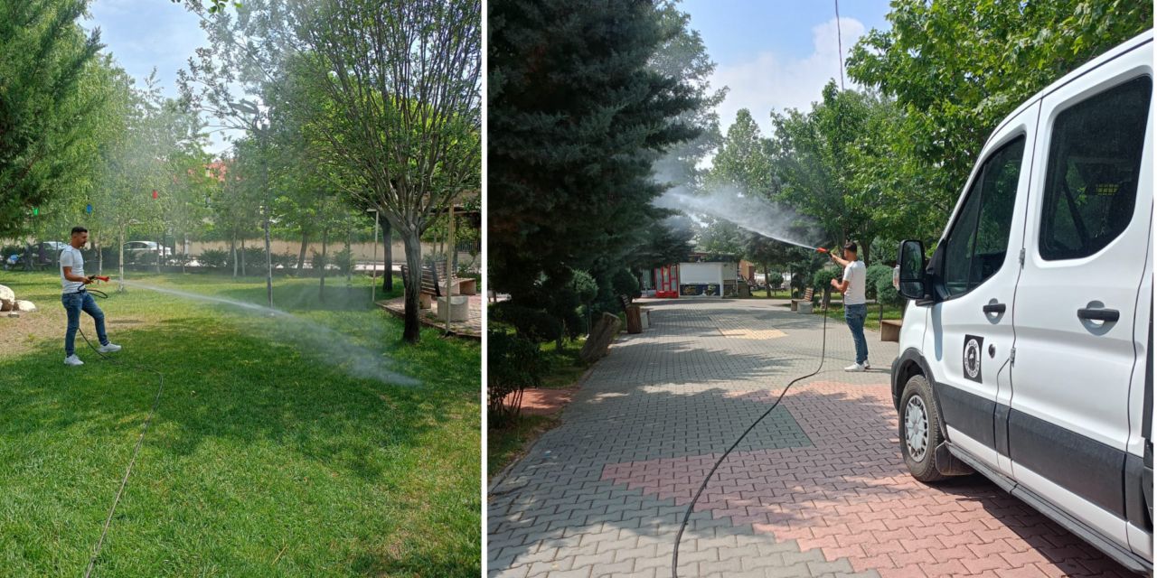 Kulu'daki parklarda kene mücadelesi başlatıldı