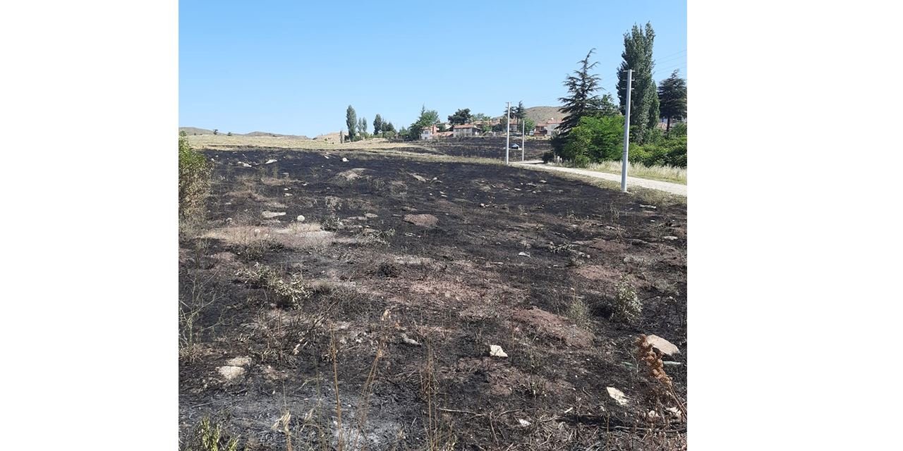 Torpil ateşi 15 dönümü kül etti