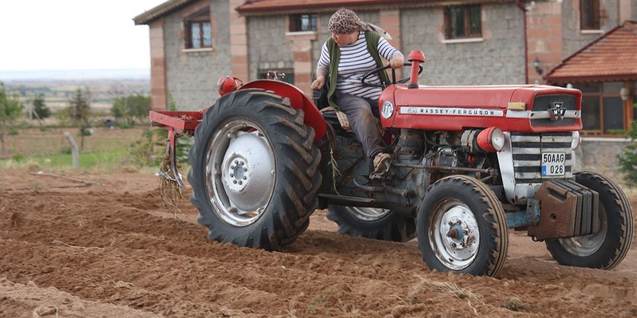6 fideyle başladı, Külliye’ye uzandı
