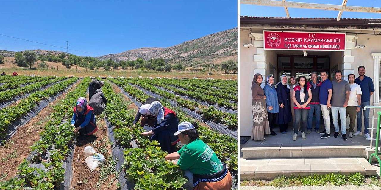 Bozkır’da kadın üreticiye tarım desteği