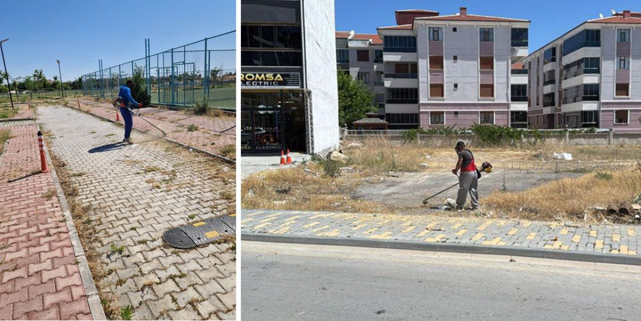 Kulu estetik olarak güzelleştiriliyor