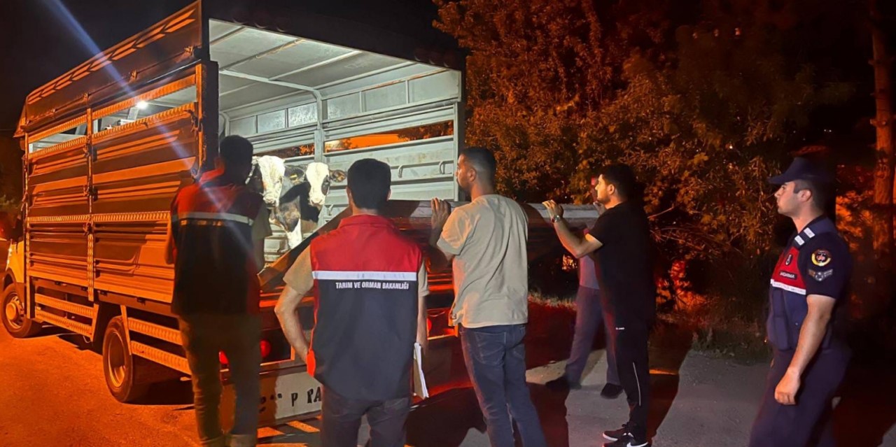 Karantina altındaki köyden izinsiz hayvan taşıyan kişiye 105 bin lira ceza