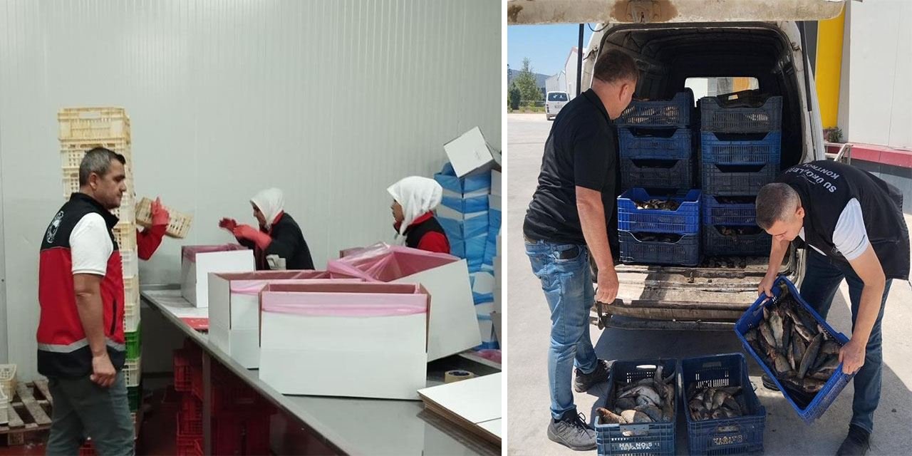 Ağa takılan boy yasa dışıysa satış da yasak