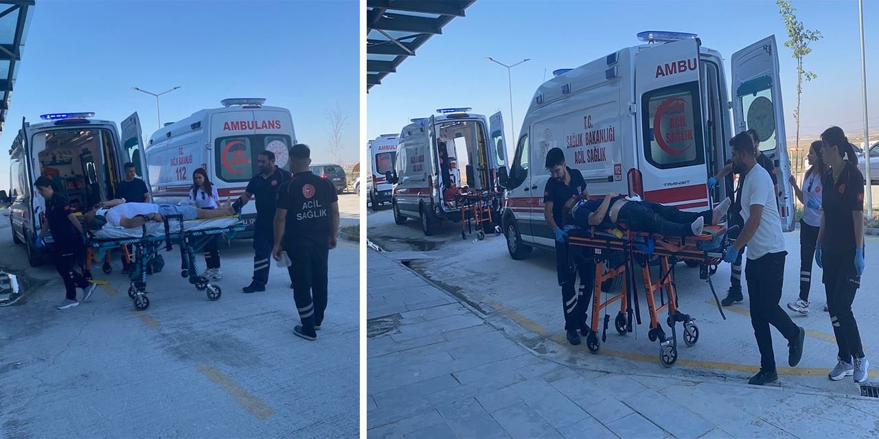 Otobanda can pazarı: 3 ölü, 2 yaralı