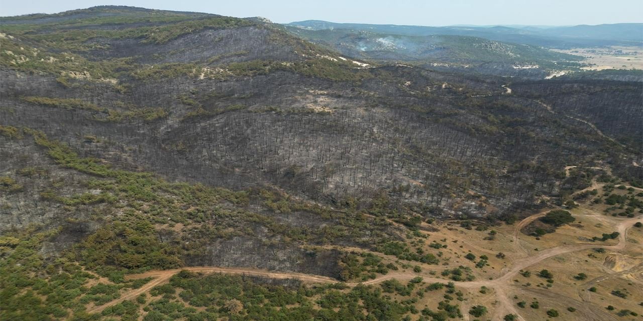 Yangın bölgesi incelemeye alındı